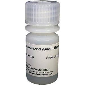 Avidine monomérique immobilisée pour purification de biotine