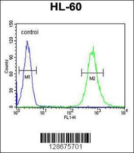 Anti-S35E2 Rabbit Polyclonal Antibody