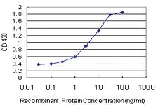 Anti-NANOG Mouse Monoclonal Antibody [clone: 2C11]