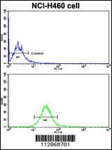 Anti-CDH10 Rabbit Polyclonal Antibody (Biotin)