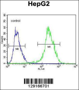 Anti-NR0B2 Rabbit Polyclonal Antibody (HRP (Horseradish Peroxidase))