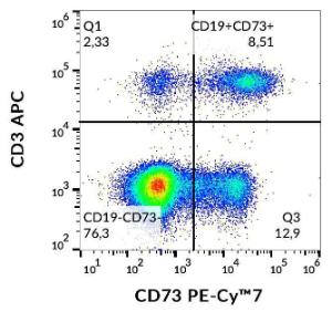 Flow cytometric analysis of human peripheral blood with Anti-CD73 Antibody [AD2] (PE-Cyanine 7)