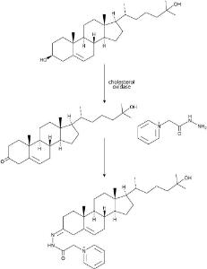 MaxSpec™ Oxysterol Derivatization