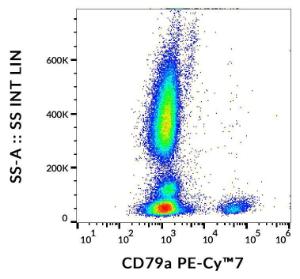 Antibody anti-CD79A HM47 PE-cyanine 7