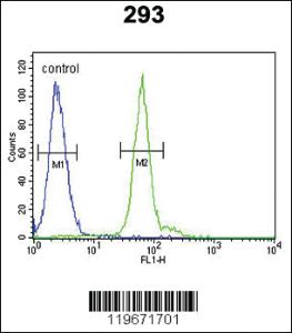 Anti-Barkor Rabbit Polyclonal Antibody