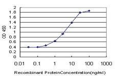 Anti-NANOG Mouse Monoclonal Antibody [clone: 2E11]