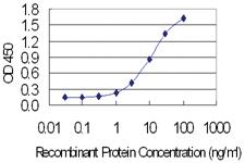 Anti-BATF3 Mouse Monoclonal Antibody [clone: 3H1]