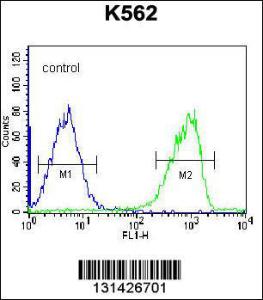 Anti-S3TC1 Rabbit Polyclonal Antibody (APC (Allophycocyanin))