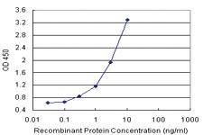 Anti-CAPS1 Polyclonal Antibody Pair