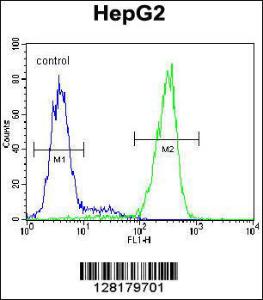 Anti-NUDT15 Rabbit Polyclonal Antibody (HRP (Horseradish Peroxidase))