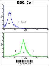 Anti-Pericentriolar Material 1 Protein Rabbit Polyclonal Antibody (AP (Alkaline Phosphatase))