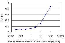 Anti-RUNX1 Mouse Monoclonal Antibody [clone: 2C10]