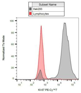 Anti-Ki67 Mouse Monoclonal Antibody [clone: Ki-67] (PE-Cyanine 7)