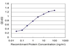 Anti-NANOG Mouse Monoclonal Antibody [clone: 3A12]