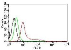 Flow cytometric analysis of K562 cells labeling Ku70 with Anti-Ku70 Antibody [KU729] (PE) (Red) Cells alone (Black) Isotype Control (Green)