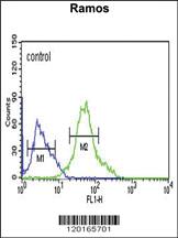 Anti-GBAS Rabbit Polyclonal Antibody