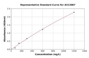 Representative standard curve for Mouse Cyclophilin F ELISA kit (A313067)