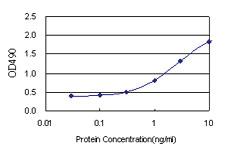 Anti-ATF6 Polyclonal Antibody Pair