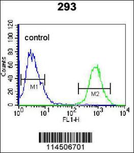 Anti-OGN Rabbit Polyclonal Antibody (AP (Alkaline Phosphatase))