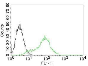 Flow cytometric analysis of 293T cells labeling Ku70 with Anti-Ku70 Antibody [KU729] (AF488) (Green) Cells alone (Black) Isotype Control (Grey)