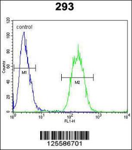 Anti-SACA1 Rabbit Polyclonal Antibody (AP (Alkaline Phosphatase))