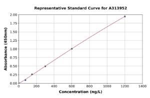 Representative standard curve for mouse GPR91 ELISA kit (A313952)