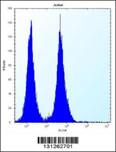 Anti-OR11L1 Rabbit Polyclonal Antibody (APC (Allophycocyanin))