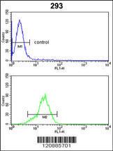 Anti-PRDX1 Rabbit Polyclonal Antibody