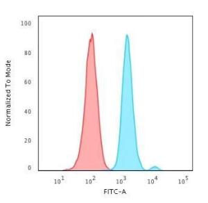 Flow cytometric analysis of HeLa cells using Anti-Ki67 Antibody [MKI67/2461] followed by Goat Anti-Mouse IgG (CF&#174; 488) (Blue). Isotype Control (Red)