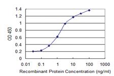 Anti-SOX9 Mouse Monoclonal Antibody [clone: 2A2]