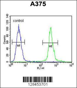 Anti-ALS2CR11 Rabbit Polyclonal Antibody (FITC (Fluorescein Isothiocyanate))