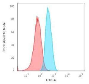 Flow cytometric analysis of T98G cells using Anti-GAD67 Antibody [GAD1/2563] followed by Goat Anti-Mouse IgG (CF and #174; 488) (Blue). Isotype Control (Red)