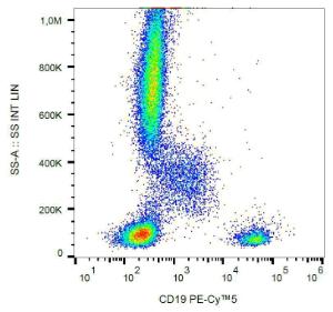 Flow cytometric analysis of human peripheral blood leukocytes with Anti-CD19 Antibody [4G7] (PE-Cyanine 5)