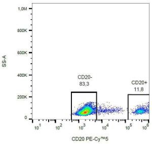 Flow cytometric analysis of human peripheral blood (lymphocyte gate) with Anti-CD20 Antibody [2H7] (PE-Cyanine 5)