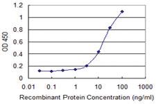 Anti-CCL1 Mouse Monoclonal Antibody [clone: 4E4]