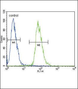 Anti-ETV5 Rabbit Polyclonal Antibody (FITC (Fluorescein Isothiocyanate))