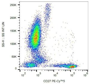 Antibody anti-CD27 LT27 PE-cyanine 5