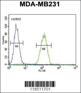 Anti-NEU1 Rabbit Polyclonal Antibody