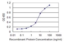 Anti-CCL2 Mouse Monoclonal Antibody [clone: 1F10]