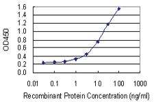 Anti-NAPL1 Mouse Monoclonal Antibody [clone: 2A9]