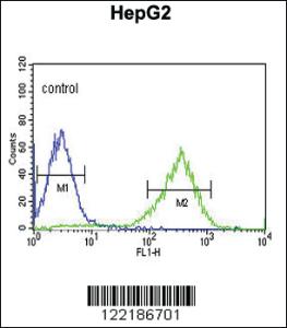 Anti-HFE2 Rabbit Polyclonal Antibody