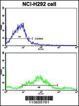 Anti-CDH3 Rabbit Polyclonal Antibody (FITC (Fluorescein Isothiocyanate))