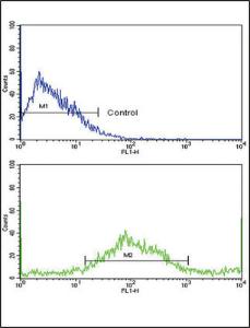 Anti-SAR1A Rabbit Polyclonal Antibody (FITC (Fluorescein))