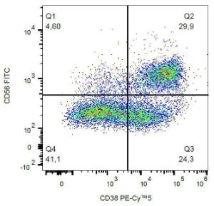 Antibody anti-CD38 HIT2 PE-cyanine 5