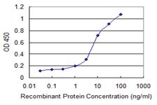 Anti-CCL2 Mouse Monoclonal Antibody [clone: 3H7]