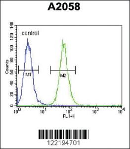 Anti-ABHD14B Rabbit Polyclonal Antibody