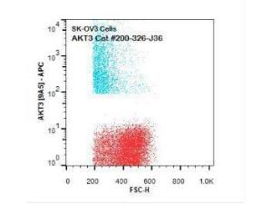 AKT3 9A5.H9.G7 APC antibody 50 μg