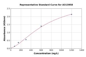 Representative standard curve for human IRF6 ELISA kit (A313958)