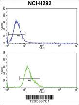 Anti-PELI3 Rabbit Polyclonal Antibody