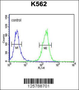 Anti-SE6L2 Rabbit Polyclonal Antibody (AP (Alkaline Phosphatase))